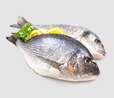 Aries Associates